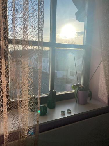 a window with some plants sitting on a window sill at Ferienwohnung Sonnenschein in Wittersheim
