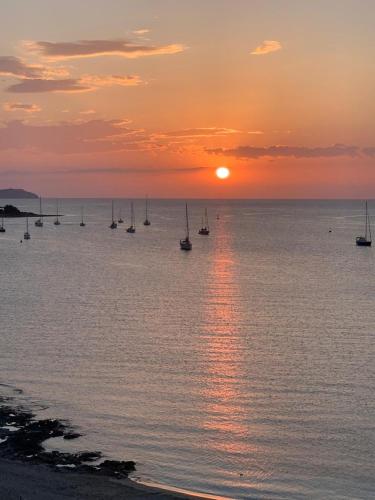 a group of boats in the water at sunset at Apartamentos La Kiki in San Antonio Bay