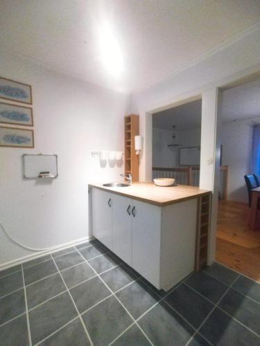 a kitchen with a counter and a sink in a room at Villa Stone House Lappland in Norsjö