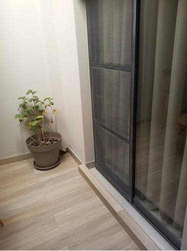 a potted plant sitting next to a glass door at Magnifique studio meuble à Yoff onomo in Dakar