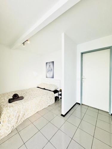 ウィーンにあるCozy Rooms in a Villa for Groups, 16-Mins to Blumengärtenのギャラリーの写真