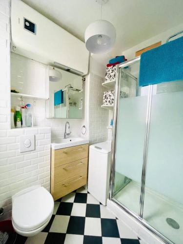 une salle de bain avec une douche, des toilettes et un lavabo dans l'établissement Appartement sur cour quartier Olympiades, à Paris