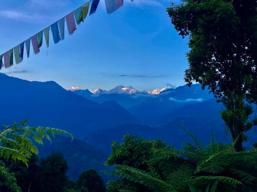 a view of the mountains from a jungle with flags at MayaTels - Maya Eco Huts, Pelling in Pelling