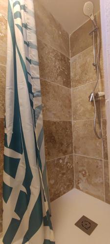 une douche avec un rideau de douche dans une salle de bain dans l'établissement Cabanon St Joseph, 2 personnes, à Boulbon