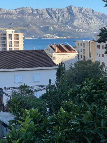 a city with buildings and a mountain in the background at Guest House Plima 2 in Budva