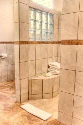a bathroom with a shower with a window at Coral House Inn in Punta Gorda