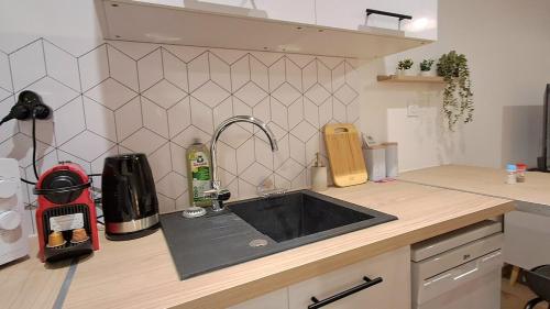 une cuisine avec un évier et un plan de travail dans l'établissement Le Nid'Vernais, à Nevers