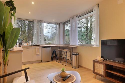 un salon avec une cuisine avec un bar et une télévision dans l'établissement Appartement 1 chambre, rez de chaussée avec garage, à Montbéliard