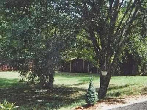 deux arbres dans un champ avec un arbre de Noël dans l'établissement Jolie Hameau Pittoresque Allas, à Saint-André-dʼAllas