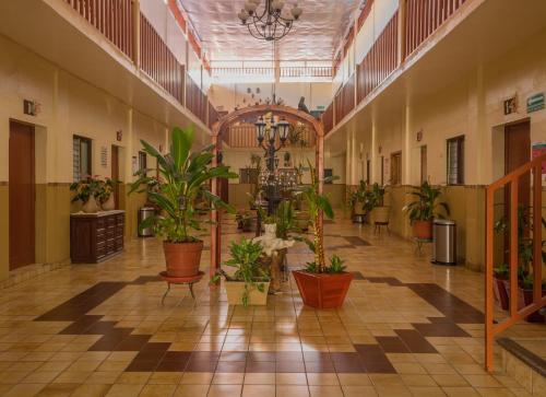 Fotografie z fotogalerie ubytování Hotel Cervantino v destinaci Tapachula