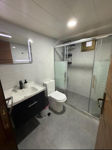 a bathroom with a shower and a toilet and a sink at Amaruna LB in Al Qarşā
