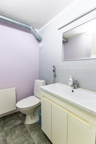 a white bathroom with a toilet and a sink at IDA Apartments in Kuressaare