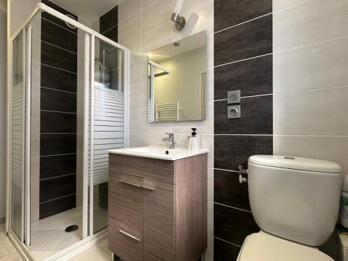 a bathroom with a toilet and a sink and a mirror at Studio tout équipé, Travail et détente au Puy in Le Puy en Velay