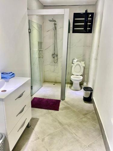 a bathroom with a toilet and a glass shower at La Villa Salma in Santa Bárbara de Samaná