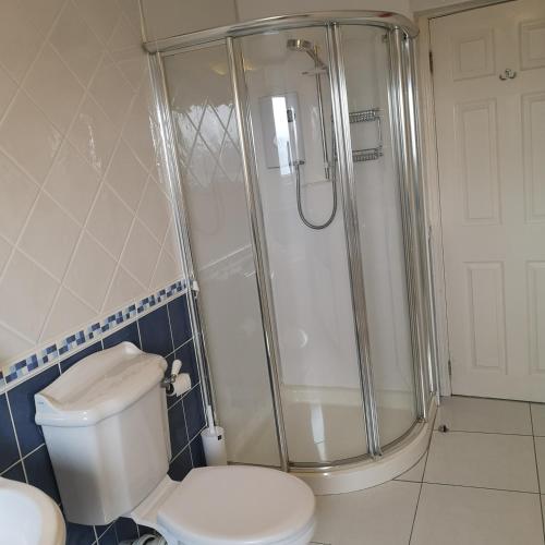 a bathroom with a white toilet and a shower at Farmhouse at 93 in Portglenone