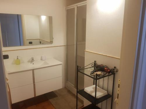 a bathroom with a sink and a mirror and a shower at L'Altana City House in Brescia