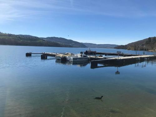 a duck swimming in the water next to a dock at Maison du Bonheur, Chambre Cocooon in Le Pin