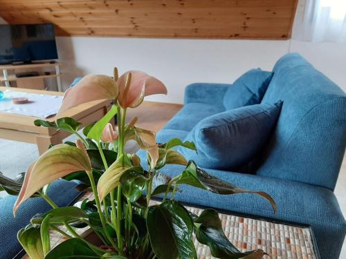 Χώρος καθιστικού στο Ferienwohnung am Patenberg