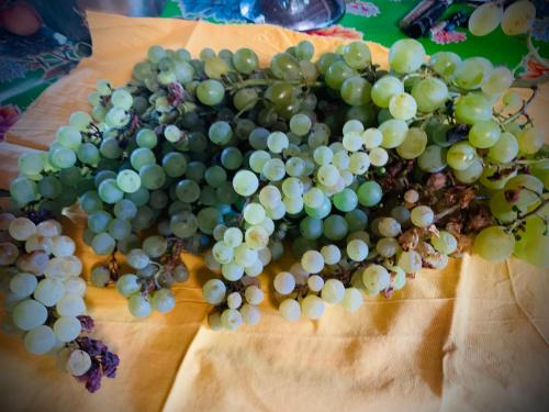 a bunch of green grapes on a piece of paper at La Main du Cœur Chambre d'hôtes de charme à la campagne in Loubens-Lauragais