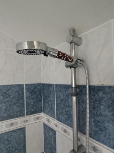 La salle de bains est pourvue d'une pomme de douche et de carrelage bleu et blanc. dans l'établissement Tiny House Eurovelo 6, à Chalon-sur-Saône