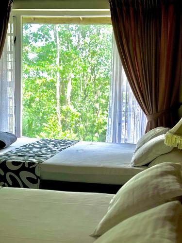 a bedroom with two beds and a window with trees at Hanthana Villa in Kandy