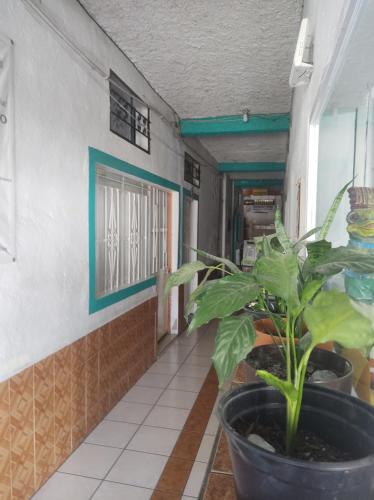 Fotografie z fotogalerie ubytování Hotel Libramiento Puerto Vallarta v destinaci Puerto Vallarta