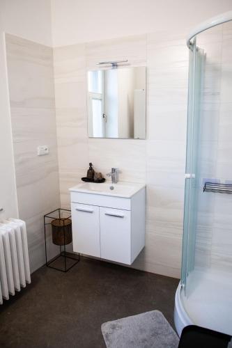 a bathroom with a white sink and a mirror at brand-aparts in Vsetín