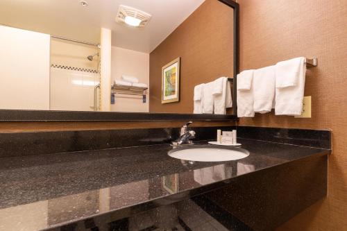 a bathroom with a sink and a large mirror at Fairfield Inn & Suites by Marriott Carlisle in Carlisle