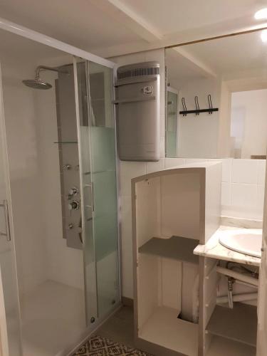 une salle de bain avec une douche en verre et un lavabo dans l'établissement Studio moderne à Montagnac-Montpezat - 32 m² tranquille, à Montagnac
