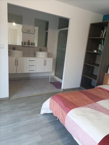 - une chambre avec un lit, deux lavabos et un miroir dans l'établissement Chez Sabine la Campagne HAUT, à Narbonne