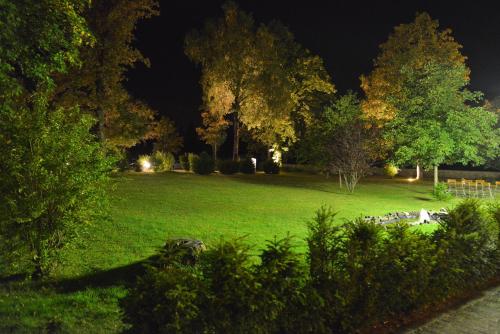 a park at night with green grass and trees at Berghotel Hoher Knochen - Ruhe & Natur in Winterberg