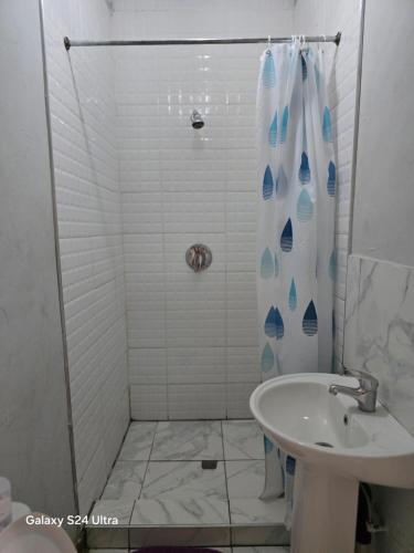 a bathroom with a shower and a sink at New Dreamland Guesthouse in Mahikeng