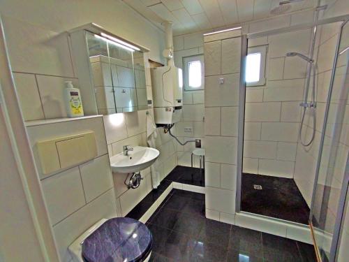 a bathroom with a toilet and a sink and a shower at gemütliche Ferienwohnung in ruhiger Lage, Nähe Luxemburg und Trier - Holiday and Nature Olk in Ralingen
