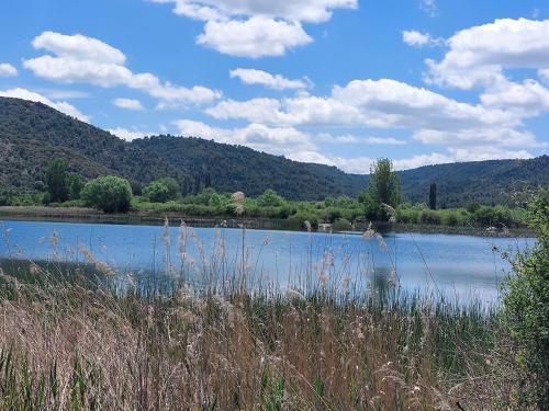 Naturlandskabet i nærheden af feriehuset