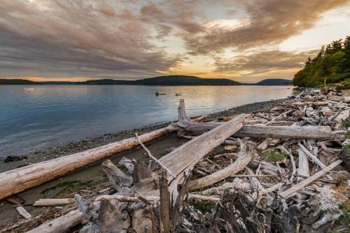 a group of logs on the shore of a lake at No-Bank Waterfront Stunner – Driftwood Compound on Fidalgo Island in Anacortes