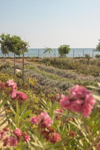 a field of flowers with the ocean in the background at Metamare in Cozze