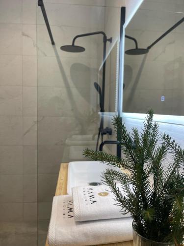 a bathroom with a shower and a sink with a plant at Yama Krywe in Krywe