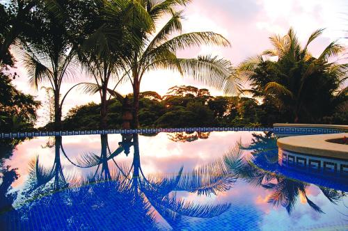 a large pool of water with palm trees at Hotel Cuna del Angel in Dominical