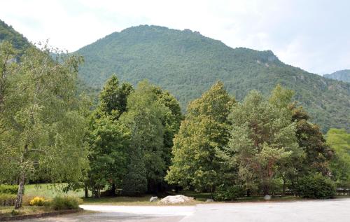 a group of trees in front of a mountain at Albergo Ristorante Cima I Pra' in Ponte nellʼAlpi