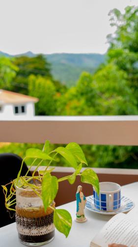 a plant sitting on a table next to a coffee cup at Hotel Posada Stella Maris in Puerto Barrios