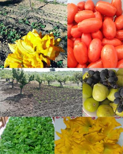 Φωτογραφία από το άλμπουμ του La Dimora nel Cilento σε Omignano