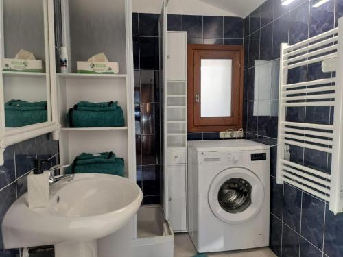 une salle de bain avec une machine à laver et un lavabo dans l'établissement studio haut-pays-grasse, à Valderoure