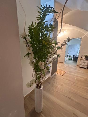 Gallery image of Mariposa Sassari in Sassari