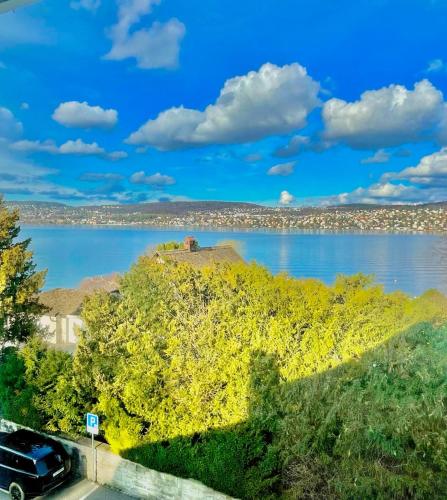 a car parked on a road next to a lake at Zurich near the lake single room in historical house shared Bathroom in Kilchberg