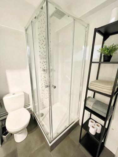 une salle de bain avec douche et toilettes dans l'établissement Studio centre-ville Petite venise, à Colmar