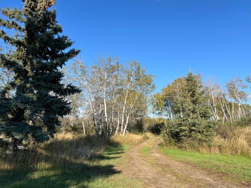 Gallery image of Spacious house in Forest near Saskatoon in Floral
