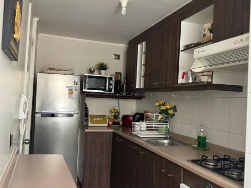 Η κουζίνα ή μικρή κουζίνα στο Decher Apartment - Puerto Varas