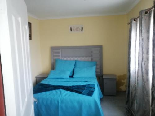 a bedroom with a bed with blue sheets at TRAVELASPA Guest House in Roodepoort
