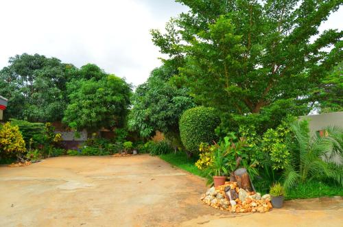 a yard with a tree and a dirt road at Chobe Kulotu Guest House in Kasane