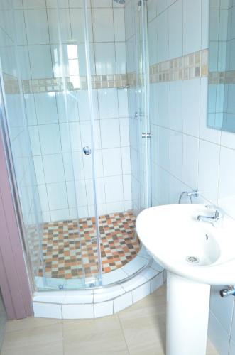a bathroom with a shower and a sink at Chobe Kulotu Guest House in Kasane